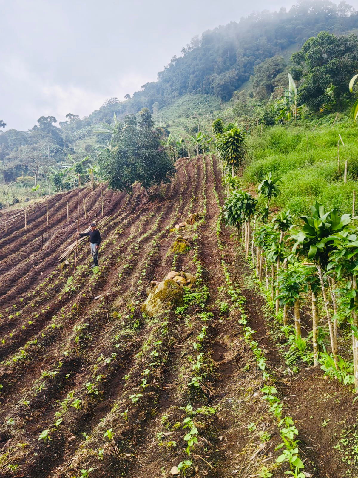 San Gabriel Cundinamarca